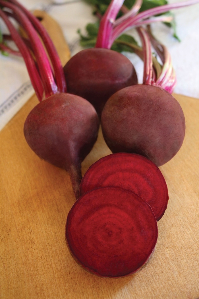 'Ruby Queen' Beet - Beta from Delukes Gardencenter