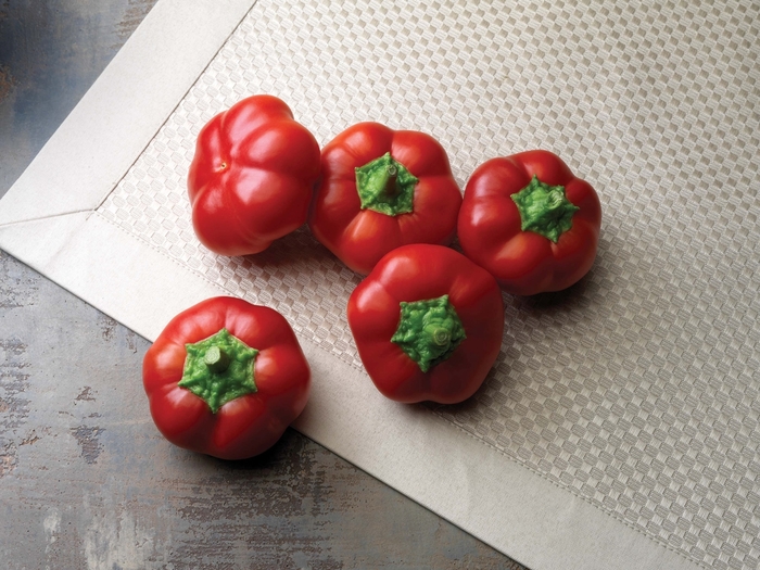 HOT CHERRY - PEPPER from Delukes Gardencenter