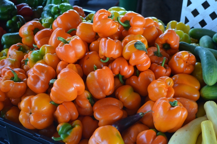Orange Bell Pepper - Sweet Peppers from Delukes Gardencenter