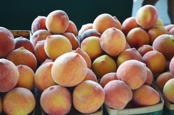 Peaches - from Delukes Gardencenter