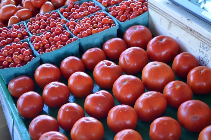 Red Tomato - from Delukes Gardencenter