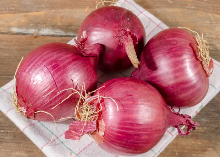 ONION RED - RED WING ONION from Delukes Gardencenter