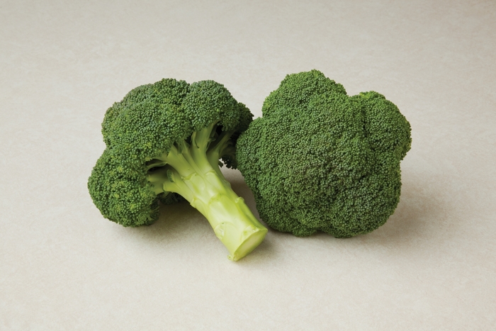 Broccoli - Brassica from Delukes Gardencenter