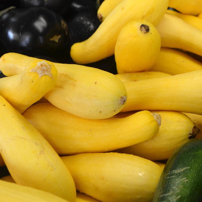 SUMMER SQUASH - from Delukes Gardencenter