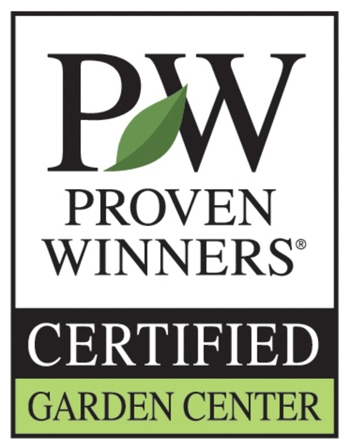 PROVEN WINNERS COMBOS - 6 INCH WHITE PW POT from Delukes Gardencenter