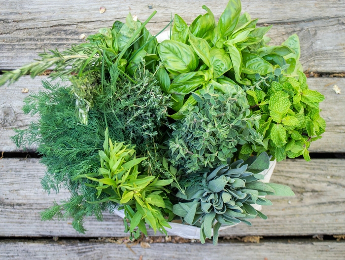 Fresh Herbs - from Delukes Gardencenter