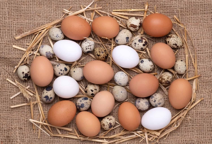 Chicken and Quail Eggs - Farm Fresh from Delukes Gardencenter