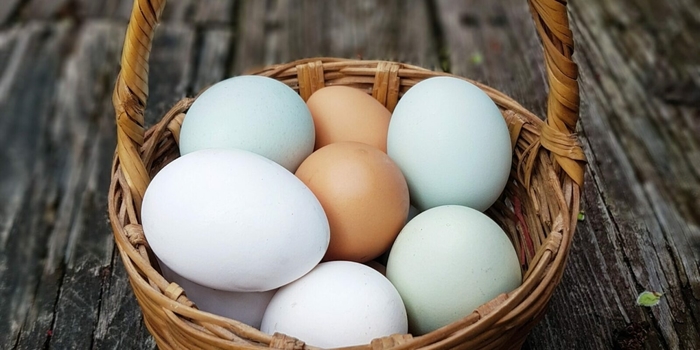 Chicken Eggs - Farm Fresh from Delukes Gardencenter