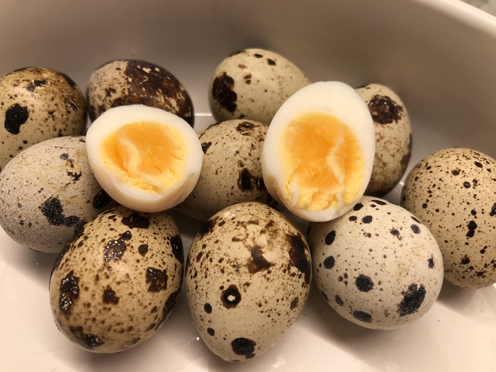 Quail Eggs - Unrefrigerated from Delukes Gardencenter