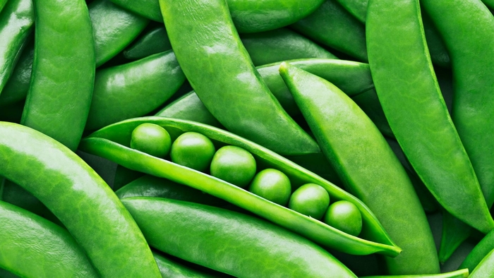 Peas - Various Varieties from Delukes Gardencenter