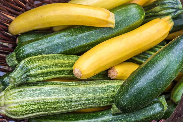 Squash - Various Varieties from Delukes Gardencenter