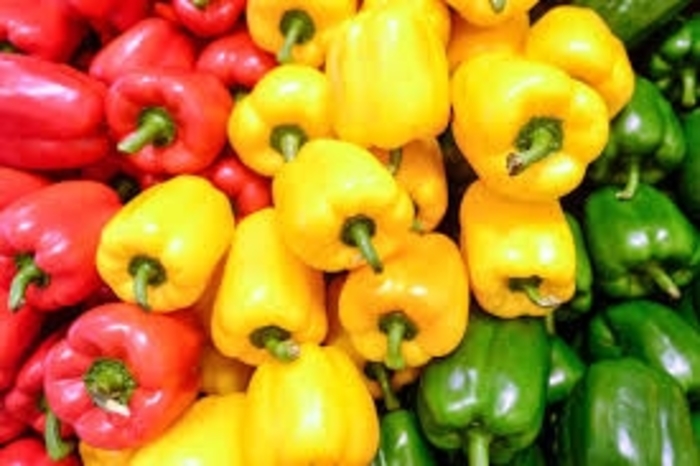 Sweet Peppers - Various Varieties from Delukes Gardencenter