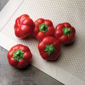 PEPPER - HOT CHERRY PEPPER - HOT CHERRY