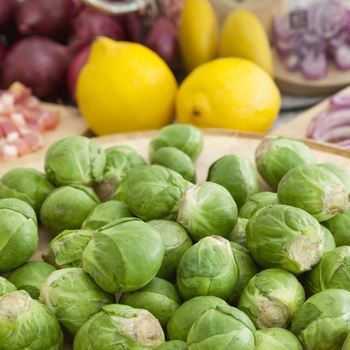 Long Island - Brussels Sprouts