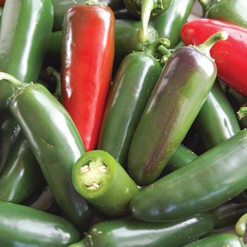  - 'Mucho Nacho' Pepper