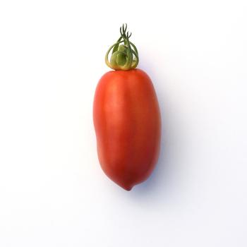 San Marzano - Tomato