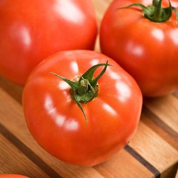 Celebrity - Tomato
