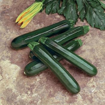  - ZUCCHINI 