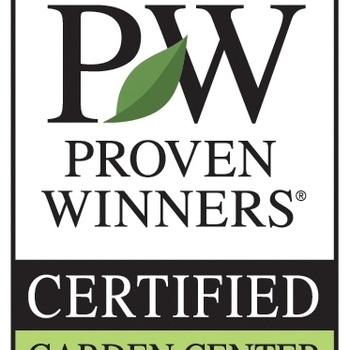 4.5 inch White pot - PROVEN WINNERS 4.5 inch White pot - PROVEN WINNERS