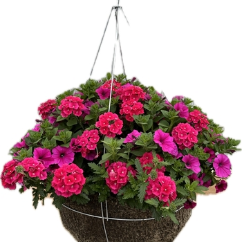 4 STRAND METAL HANGER - 16 INCH BASKET 4 STRAND METAL HANGER - 16 INCH BASKET
