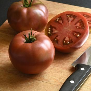Lycopersicon - 'DarkStar' Beefsteak Tomato
