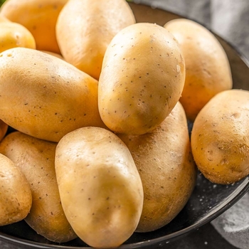 Potatoes - Yukon Gold Potatoes