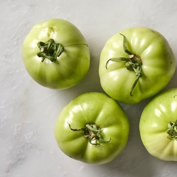 Tomatoes - Large Green Tomatoes