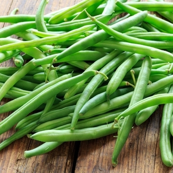 Various Varieties - Beans