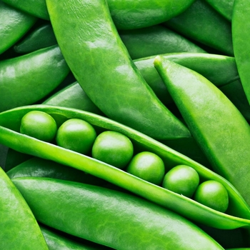 Various Varieties - Peas