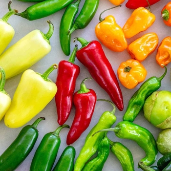 Various Varieties - Peppers