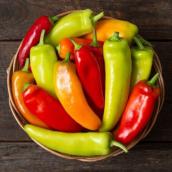 Hot Pepper - Hot Hungarian Wax Pepper